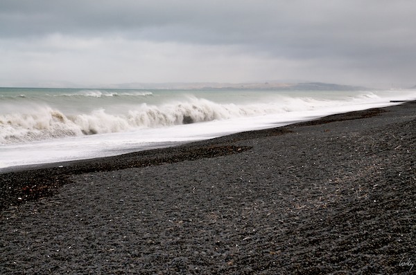 New Zealand 09 10  098